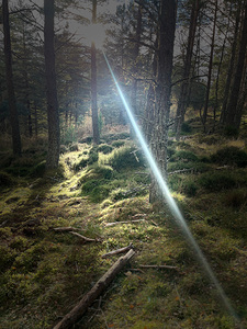Beam of Light in the Scottish Highlands
