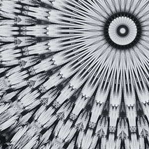Abstract Monochrome Mandala 