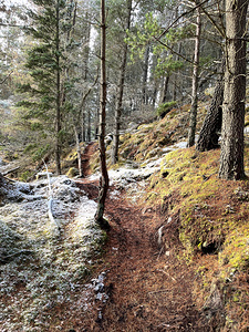 Scenes from the Trail- Winter Nature Walk