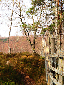 The Divide in the Scottish Highlands                                                                                                                     
