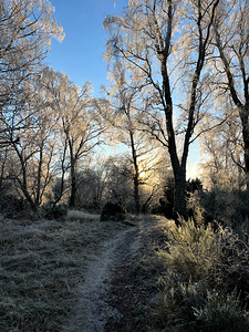 Winters Frosty Kiss for the Scottish Highlands