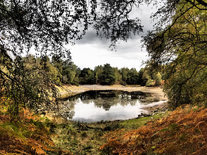  Loch Vaa in the Autumn                                                                                                                    
