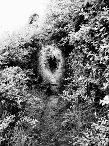   Natures Corridor through the Scottish Highlands                                                                                                                     