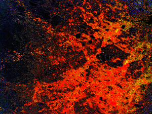    Abstract Fiery Water Reflections                                                                                                                  