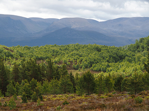 Mountain Views in the Scottish Highlands                                                                                                                     