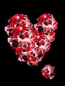 Abstract Red Roses Heart