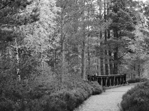 Scottish Highlands Monochrome Bridge Trail