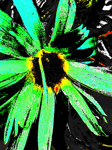 Abstract Green Daisy