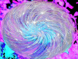 Abstract Cosmic Dandelion
