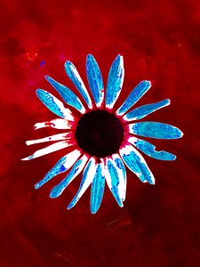 Abstract Daisy Red Abstract Background