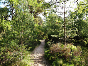 Springs Welcome in the Scottish Highlands                                                                                                      
