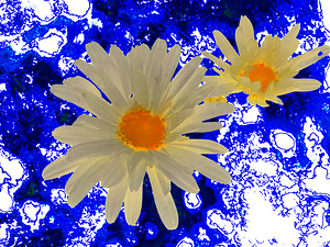 Abstract Daises Abstract Background