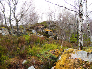  Fairy Home in the Scottish Highlands                                                                                                                    