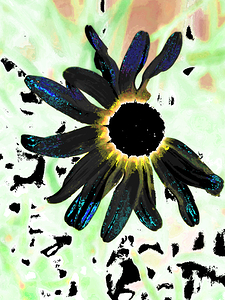 Abstract Black Daisy