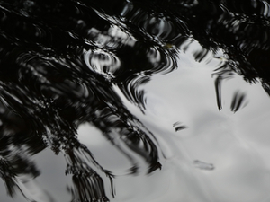 Abstract  Dark Tree Water Reflections in the Scottish Highlands