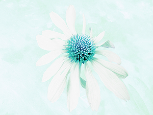 Abstract Pastel Cone Flower