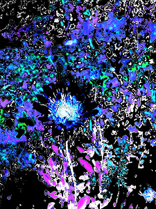 Abstract Vibrant Colourful Daisy Flower