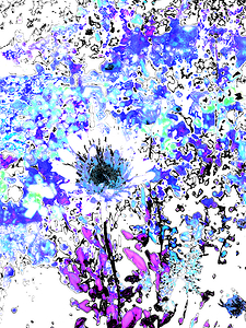 Abstract Vibrant Daisy Flower on a Coloured Background