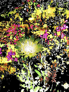 Abstract Chaotic Green Daisy Flower 