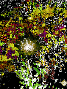 Abstract Darker Daisy Flower