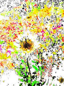 Abstract Vibrant Daisy Flower