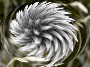 Abstract Muted Swirling Woodland Flower