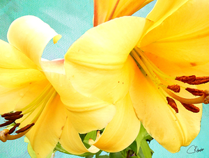 Abstract Yellow Lilies