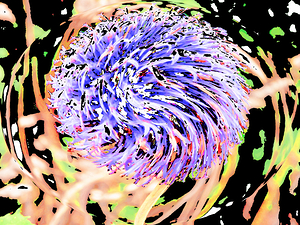  Abstract Psychedelic Swirling Woodland Plant