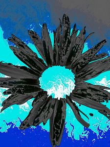  Abstract Turquoise Fiery Daisy Flower 