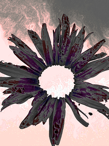 Abstract Fiery Daisy Muted Background