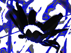 Abstract Blue and Black Daisy