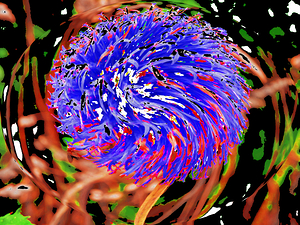 Abstract Swirling Woodland Plant in Colour
