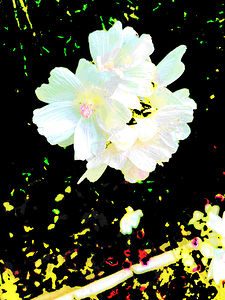  Abstract Impressionistic Marshmallows 