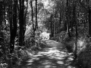  On the Road Again Through the Scottish Highlands 