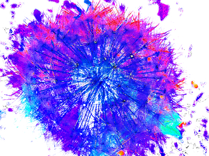 Abstract Bright Neon Colourful Dandelion Seeds Close Up