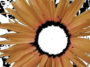 Abstract Daisy with Yellow Petals