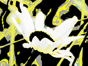 Abstract Neon Daisy Flower