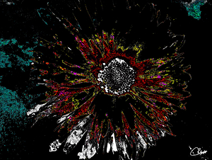 Abstract Vibrant Dark Daisy on an Abstract Background 