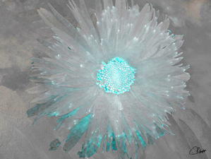 Turquoise Silver Daisy on Light Abstract Background