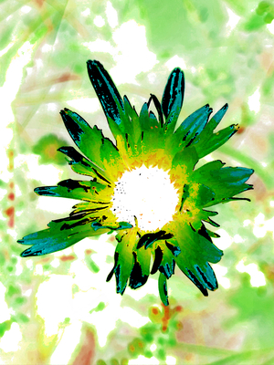  Abstract Green Daisy Flower