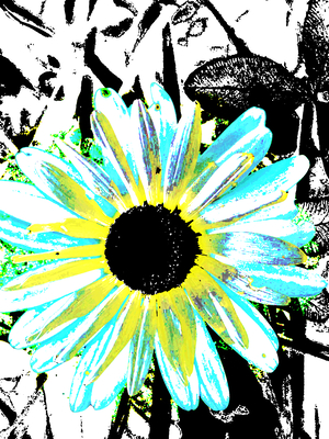 Abstract Vibrant Daisy