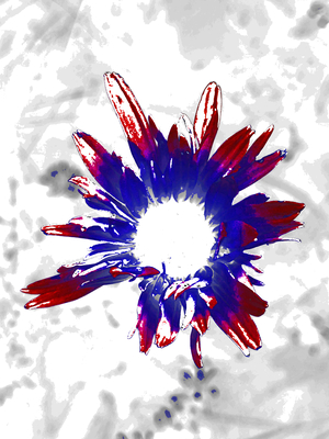 Abstract Red and Blue Daisy Flowers Light