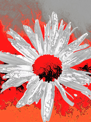 Abstract Fiery Daisy on a Vibrant Abstract Background