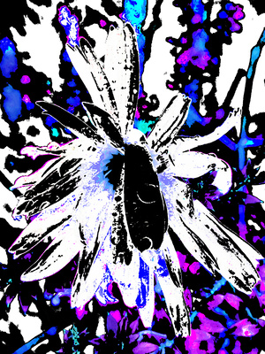 Abstract Vibrant Daisy Flower on a Psychedelic Background