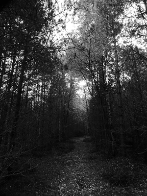  Autumns Dark Romance with the Scottish Highland