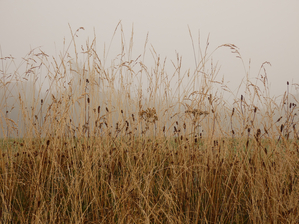  In the Mist of the Scottish Highlands