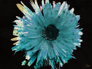 Green Hues Daisy on  Abstract Background 