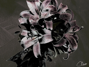 Darker Browns Poster Lilies Pop Art
