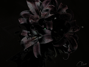 Darker Poster Lilies Pop Art