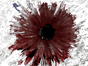 Deep Magenta Daisy on a Pale Abstract Monochrome Background